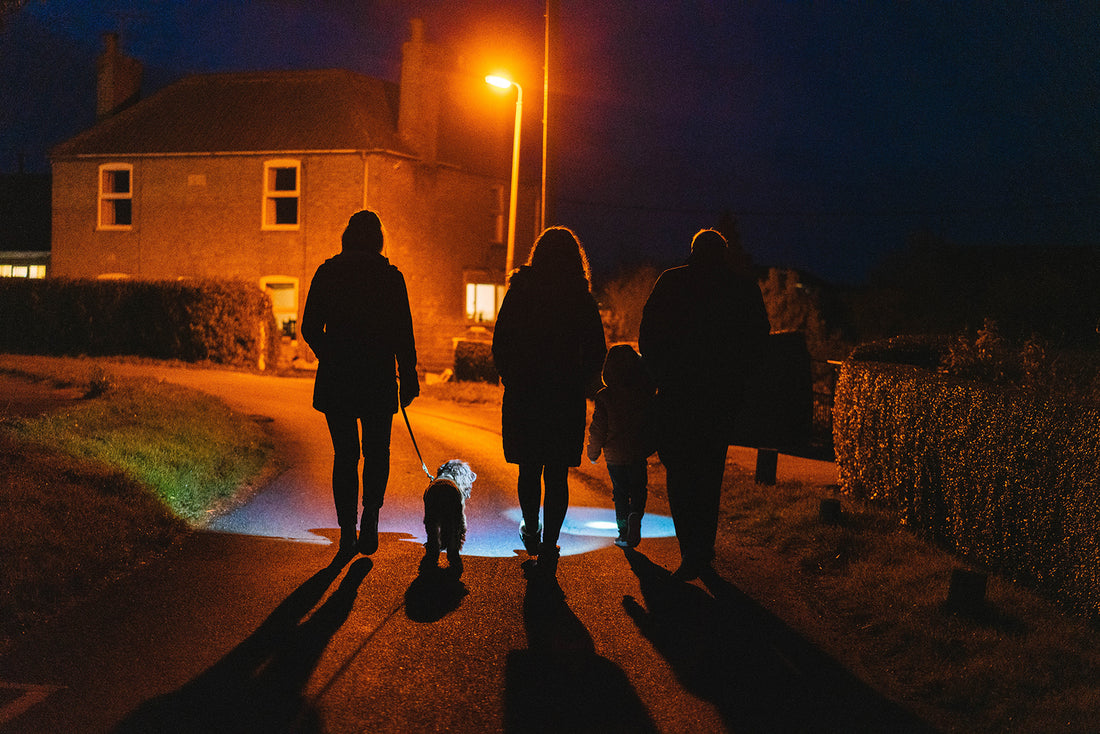 Group of people walking dog at night